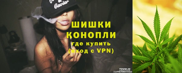 apvp Иннополис