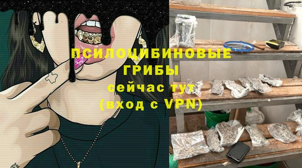 apvp Иннополис