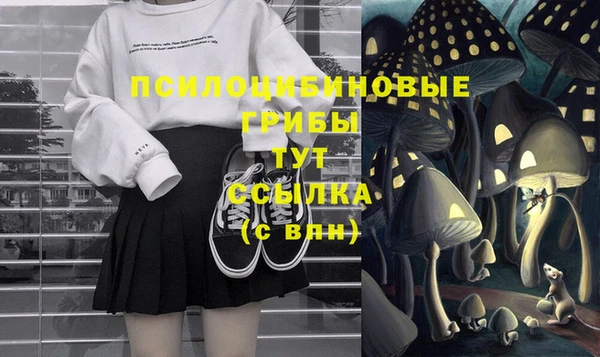 apvp Иннополис