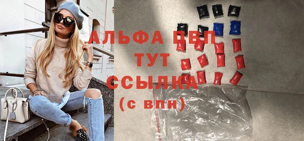 apvp Иннополис