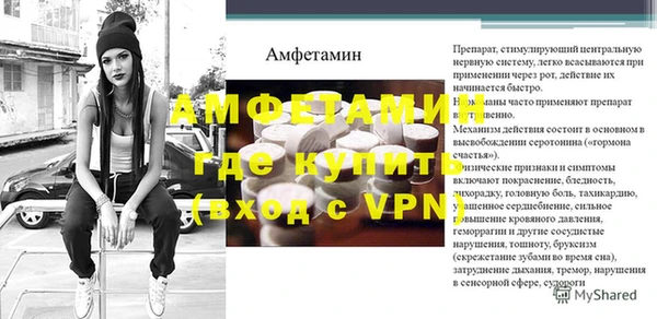 apvp Иннополис