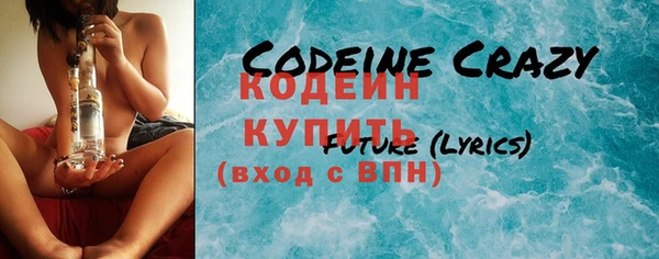 apvp Иннополис