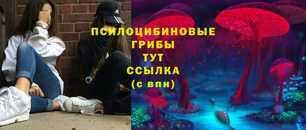 дмт Инсар